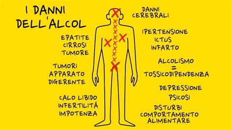 L'Alcol Può Causare Aumento Di Colesterolo?